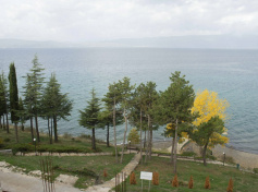 2024_SCDF_Landscapes08.jpg