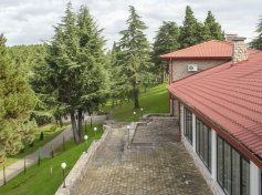 2024_SCDF_Landscapes10.jpg