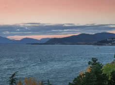 2024_SCDF_Landscapes16.jpg