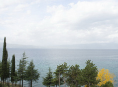 2024_SCDF_Landscapes07.jpg