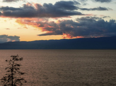 2024_SCDF_Landscapes22.jpg