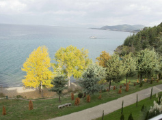 2024_SCDF_Landscapes09.jpg