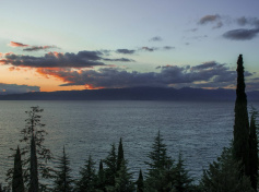 2024_SCDF_Landscapes15.jpg