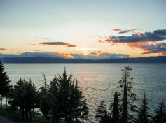 2024_SCDF_Landscapes19.jpg